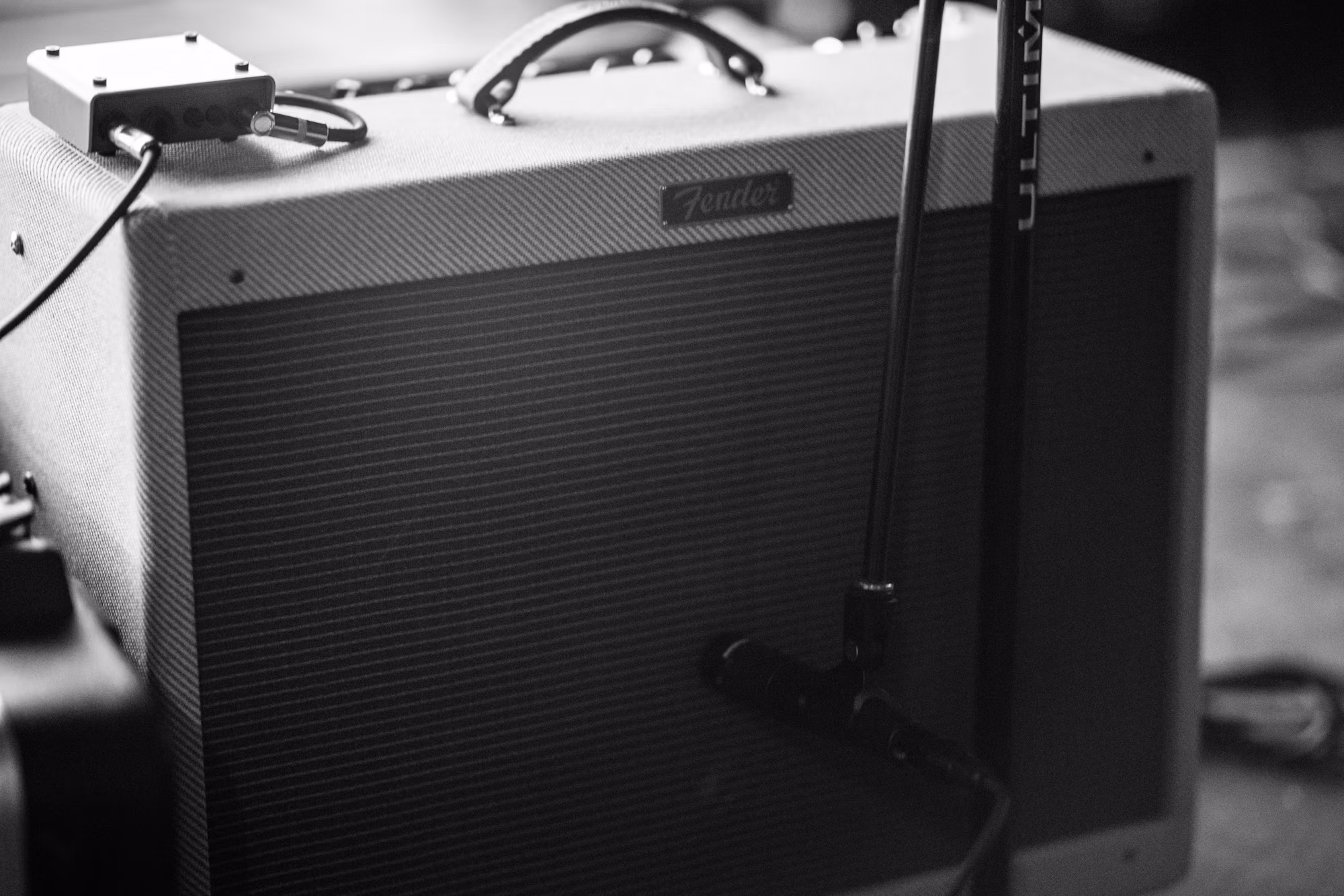 Exploring the Varied Landscapes of Live Music: A Journey Through Concert Formats